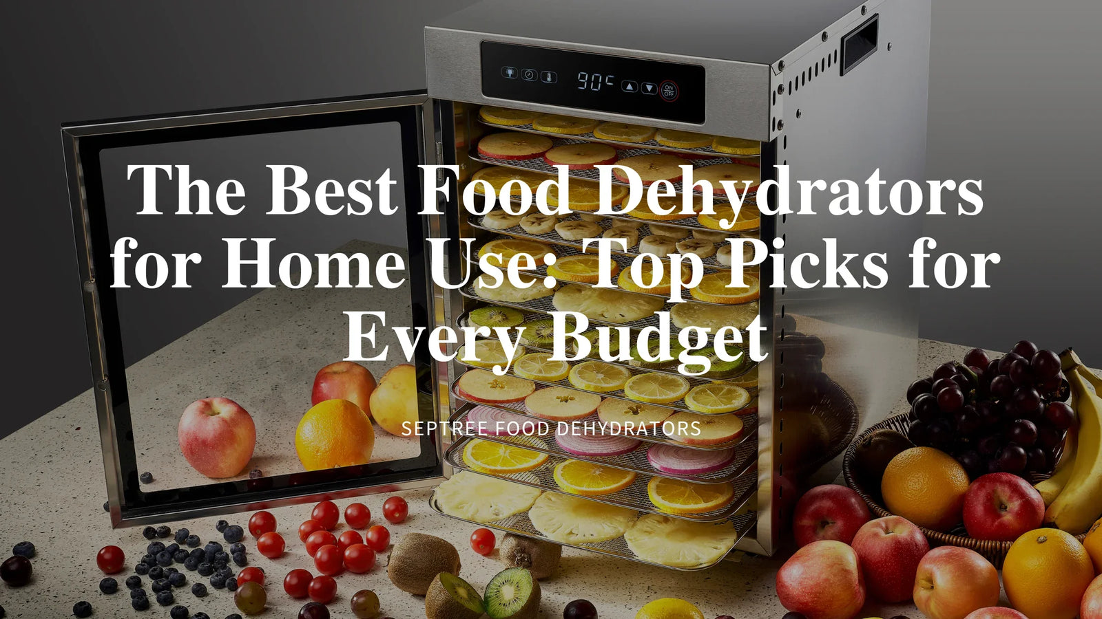 The Best Food Dehydrators for Home Use: Top Picks for Every Budget