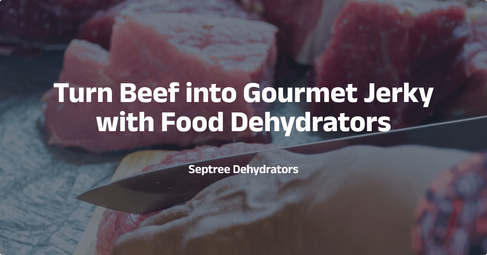 Turn Beef into Gourmet Jerky with Food Dehydrators - Septree