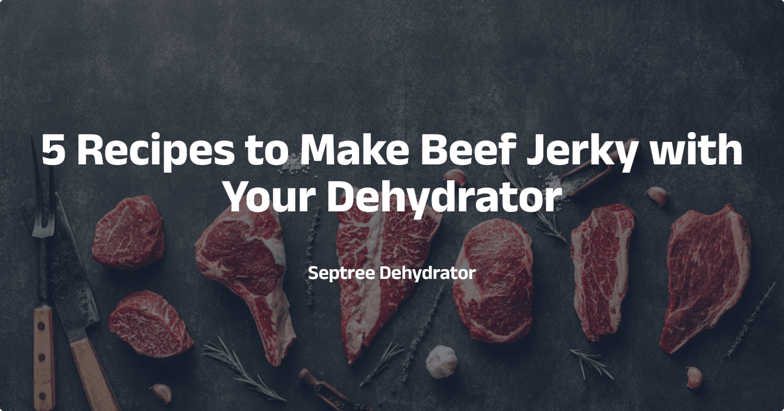 5 Recipes to Make Beef Jerky with Your Dehydrator - Septree