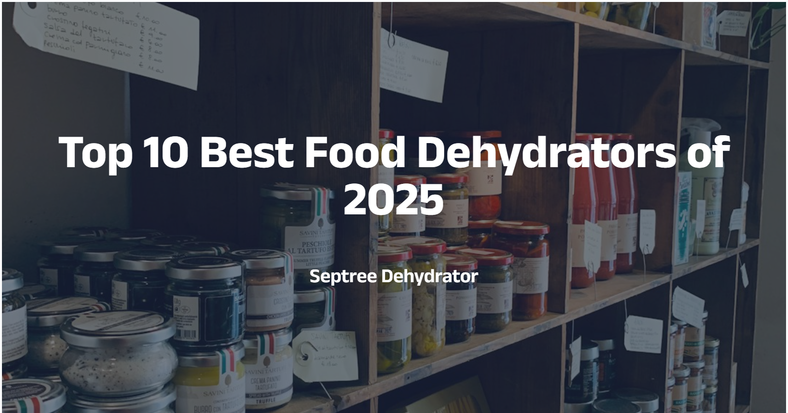 Top 10 Best Food Dehydrators of 2025: Experts Reviews & Buying Guide