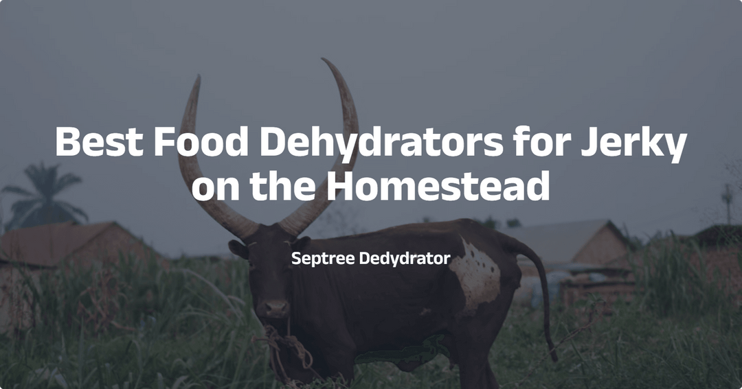 Best Food Dehydrators for Jerky on the Homestead