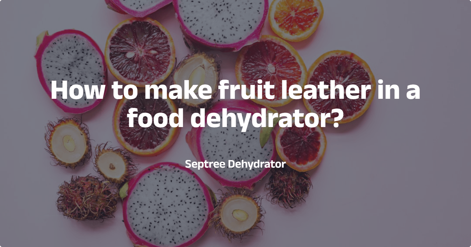 How to make fruit leather in a food dehydrator? - Septree