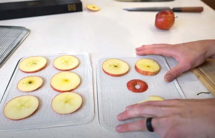 Septree Food Dehydrator Review and Demonstration