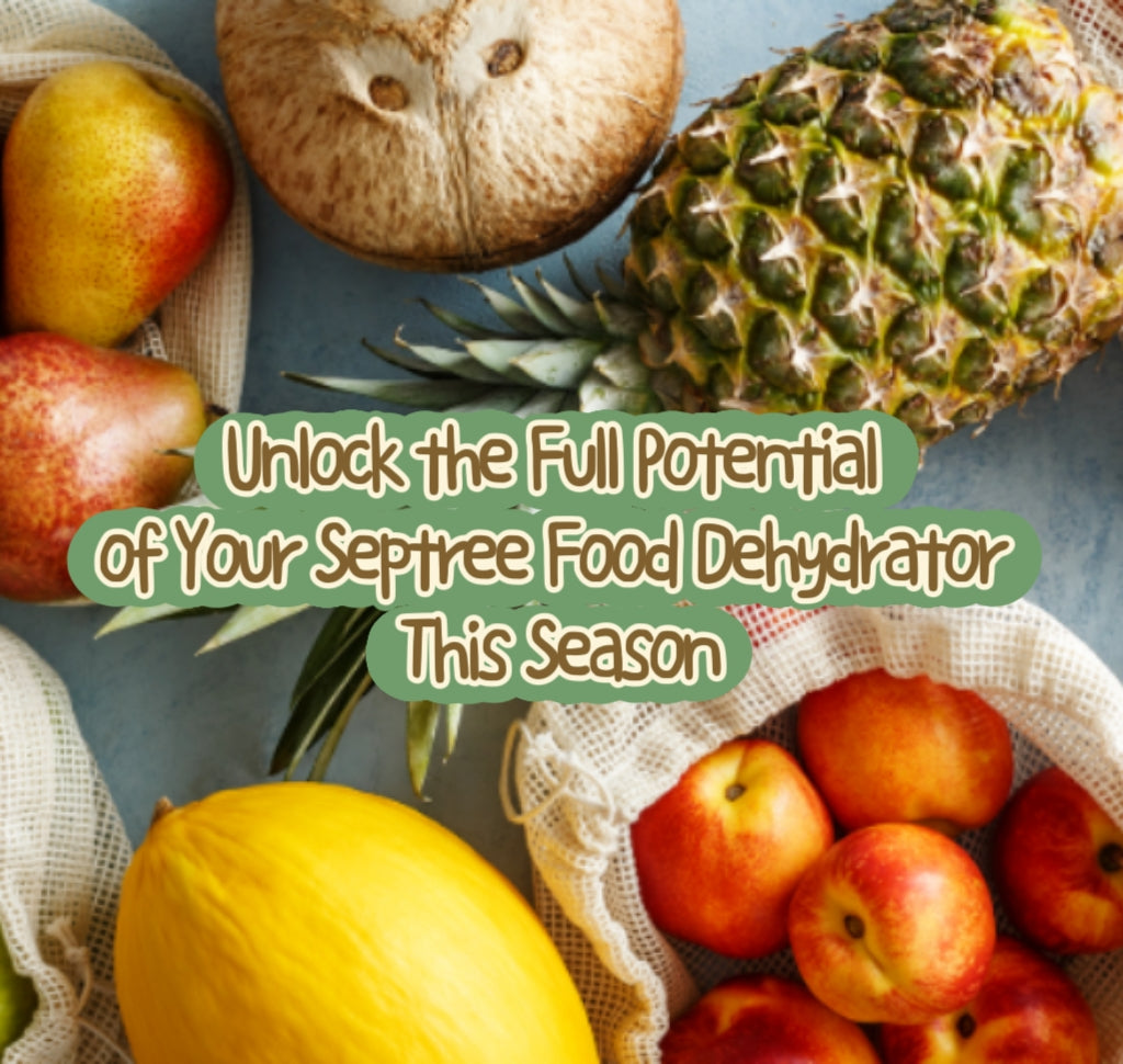 Unlock the Full Potential of Your Septree Food Dehydrator This Season