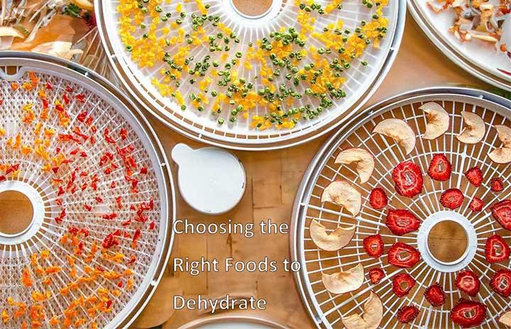 Choosing the Right Foods to Dehydrate