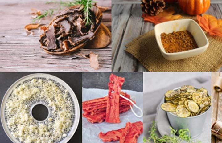 Beginner's Guide to Food Dehydrators