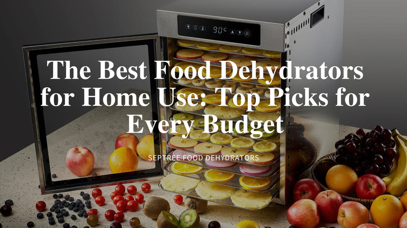 The Best Food Dehydrators for Home Use: Top Picks for Every Budget