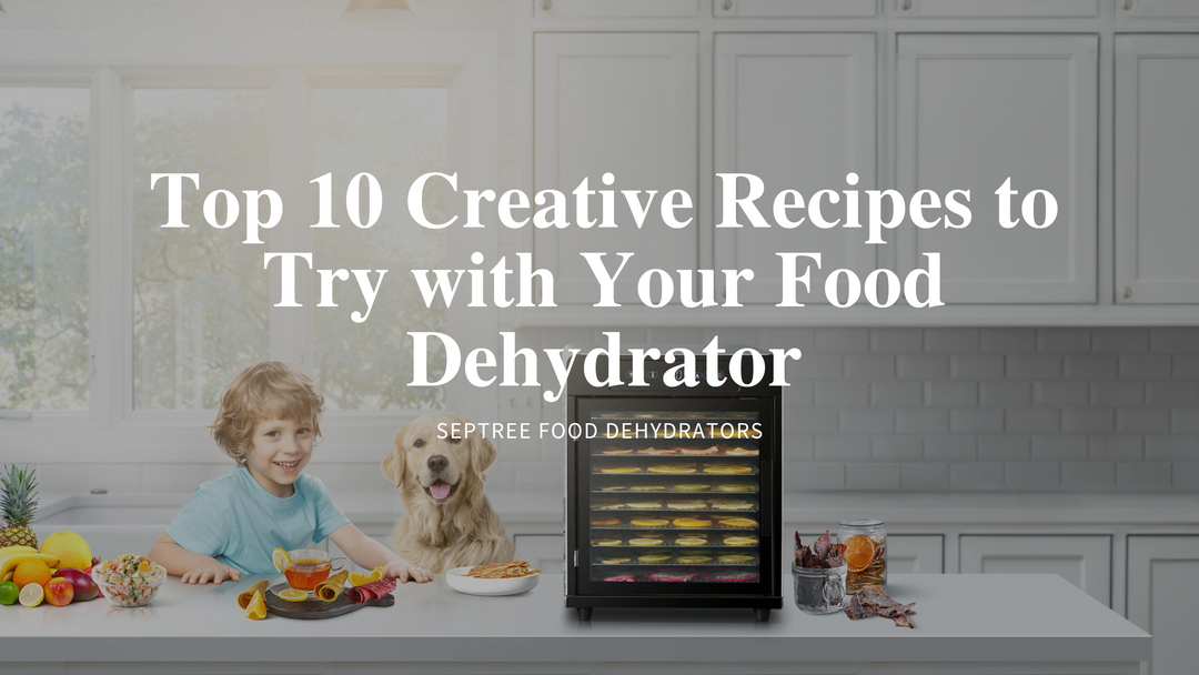 Top 10 Creative Recipes to Try with Your Food Dehydrator