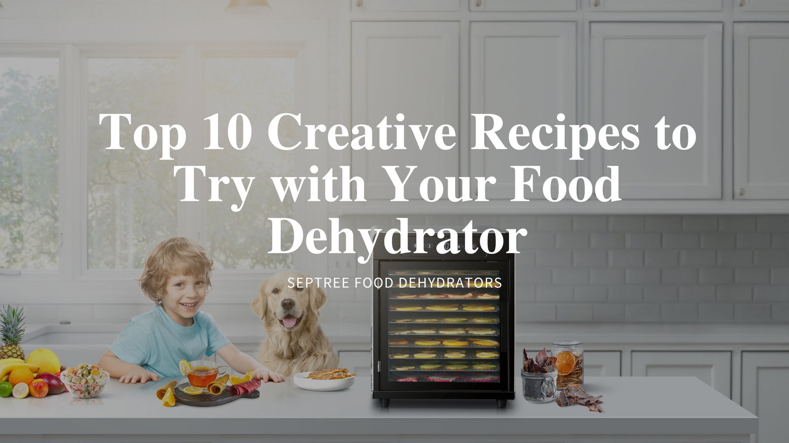 Top 10 Creative Recipes to Try with Your Food Dehydrator