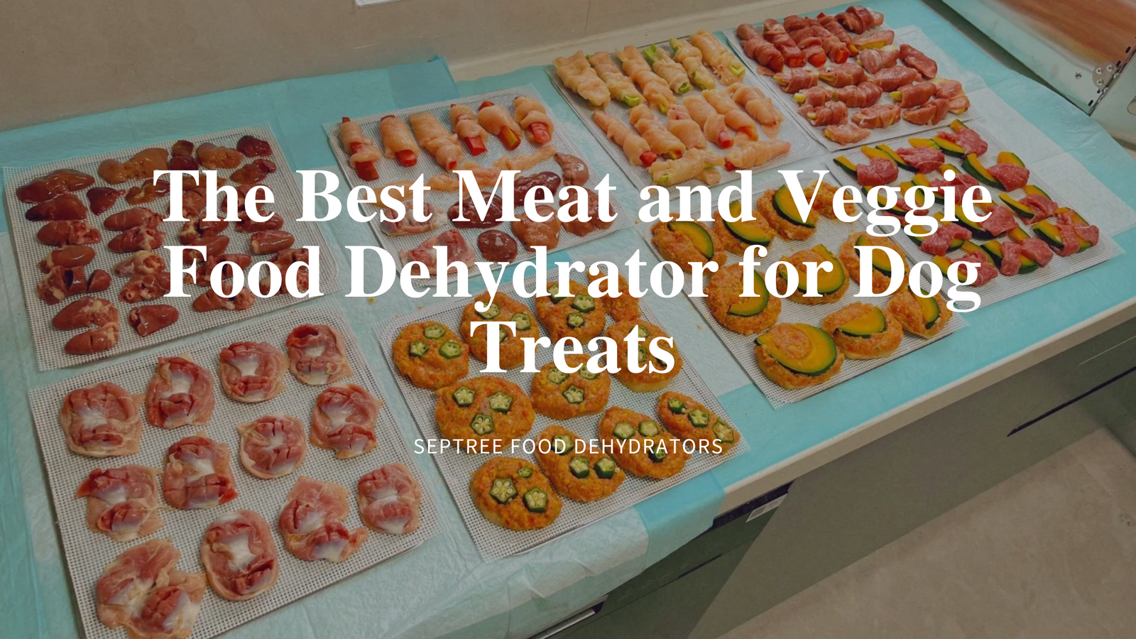 The Best Meat and Veggie Food Dehydrator for Dog Treats