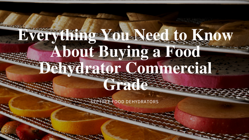 Everything You Need to Know About Buying a Food Dehydrator Commercial Grade