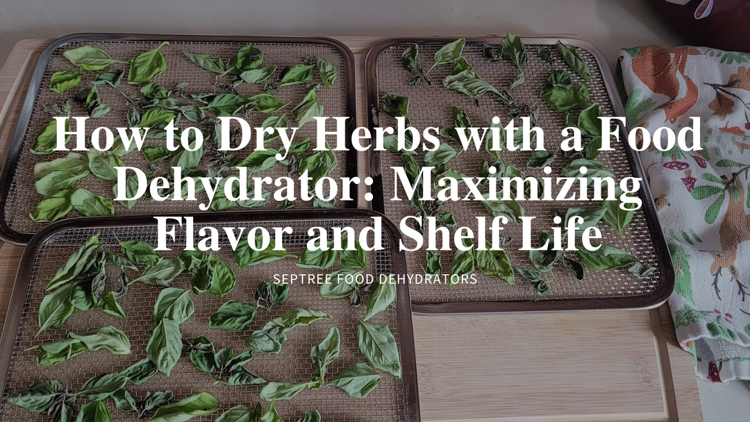 How to Dry Herbs with a Food Dehydrator: Maximizing Flavor and Shelf Life