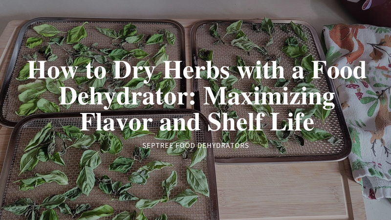 How to Dry Herbs with a Food Dehydrator: Maximizing Flavor and Shelf Life