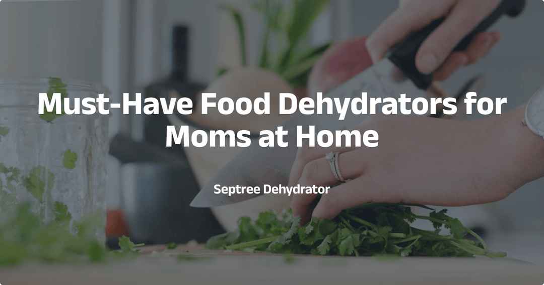 Must-Have Food Dehydrators for Moms at Home