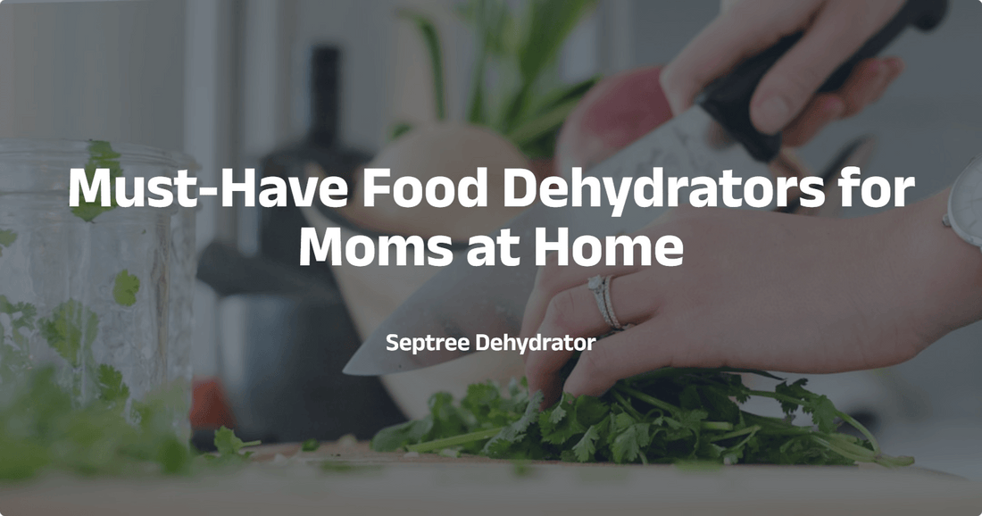 Must-Have Food Dehydrators for Moms at Home - Septree