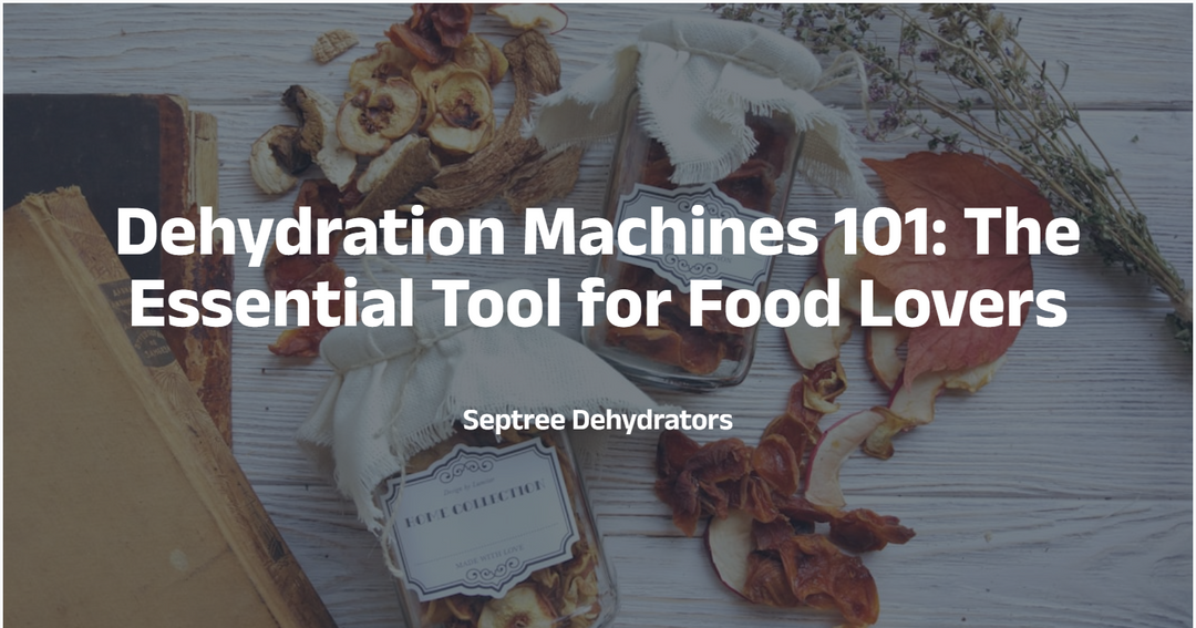 Dehydration Machines 101: The Essential Tool for Food Lovers