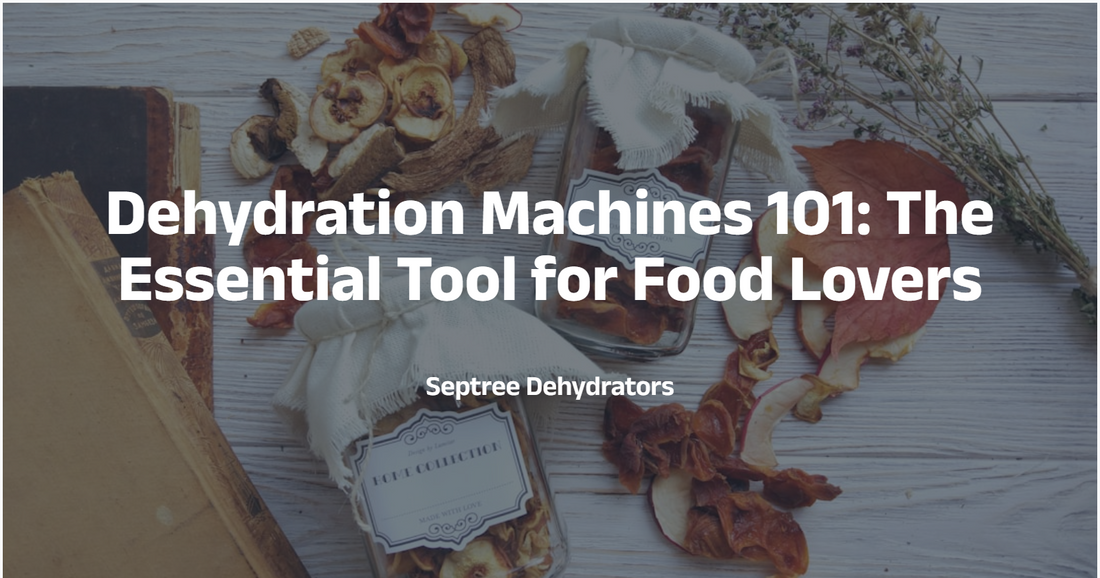 Dehydration Machines 101: The Essential Tool for Food Lovers