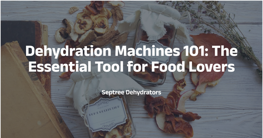 Dehydration Machines 101: The Essential Tool for Food Lovers