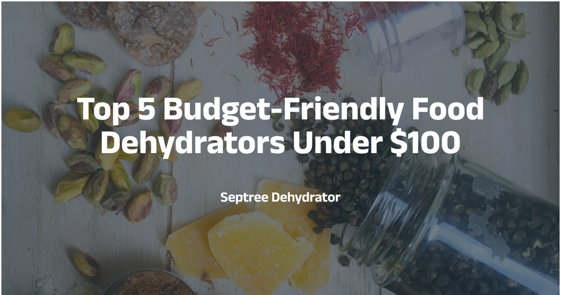 Top 5 Budget-Friendly Food Dehydrators Under $100