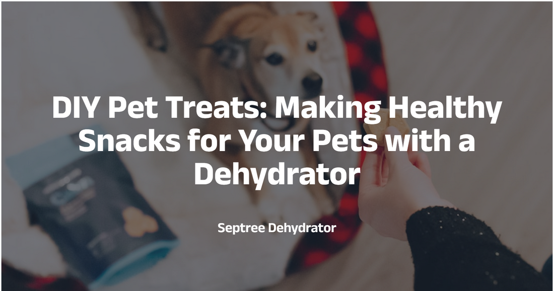 DIY Pet Treats: Making Healthy Snacks for Your Pets with a Dehydrator