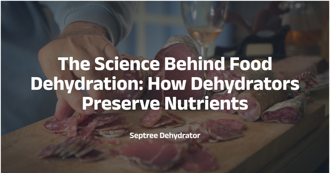 The Science Behind Food Dehydration: How Dehydrators Preserve Nutrients