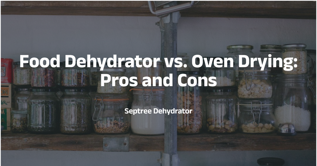 Food Dehydrator vs. Oven Drying: Pros and Cons