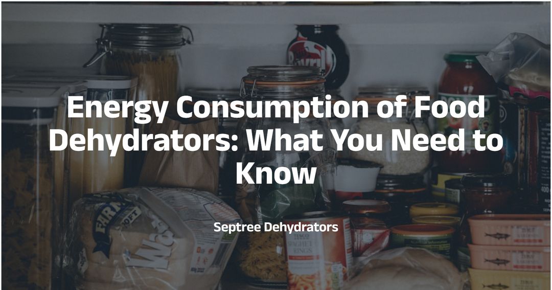 Energy Consumption of Food Dehydrators: What You Need to Know