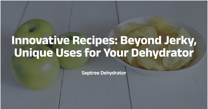 Innovative Recipes: Beyond Jerky – Unique Uses for Your Dehydrator