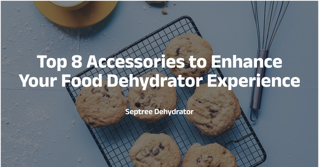 Top 8 Accessories to Enhance Your Food Dehydrator Experience