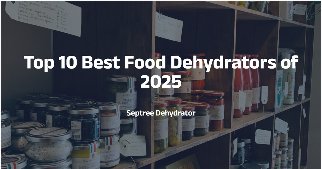Top 10 Best Food Dehydrators of 2025: Experts Reviews & Buying Guide