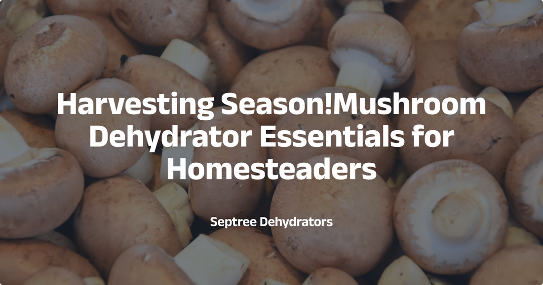 Harvesting Season: Mushroom Dehydrator Essentials for Homesteaders