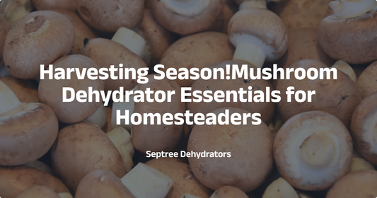 Harvesting Season: Mushroom Dehydrator Essentials for Homesteaders
