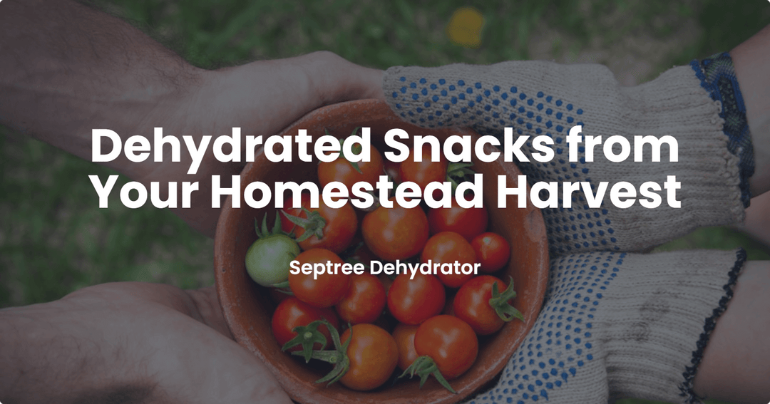 Dehydrated Snacks from Your Homestead Harvest