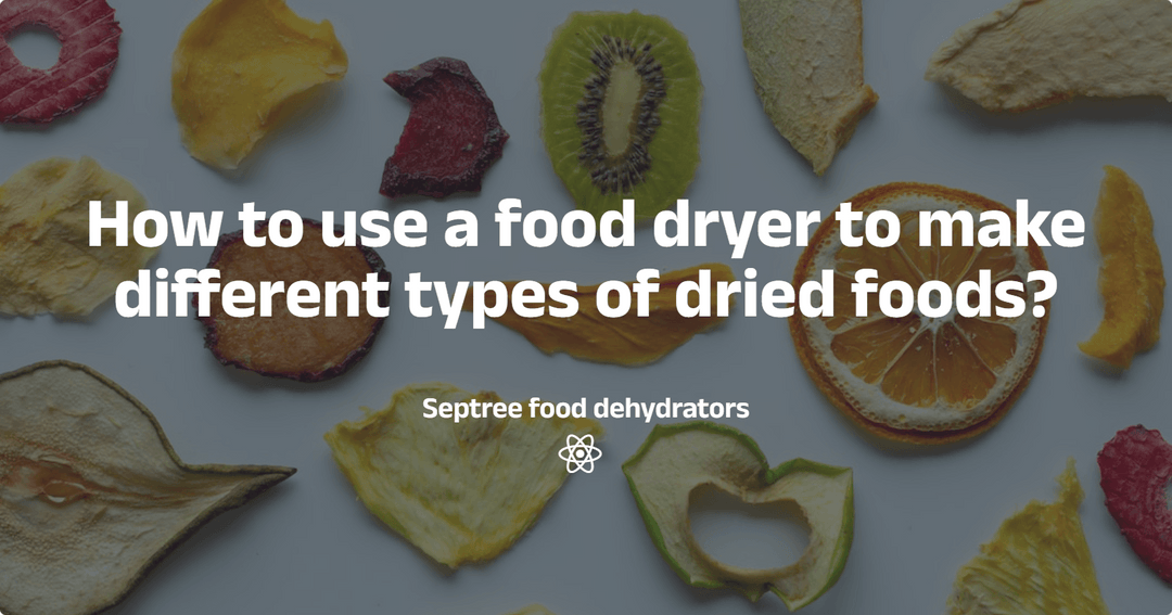 How to use a food dryer to make different types of dried foods?