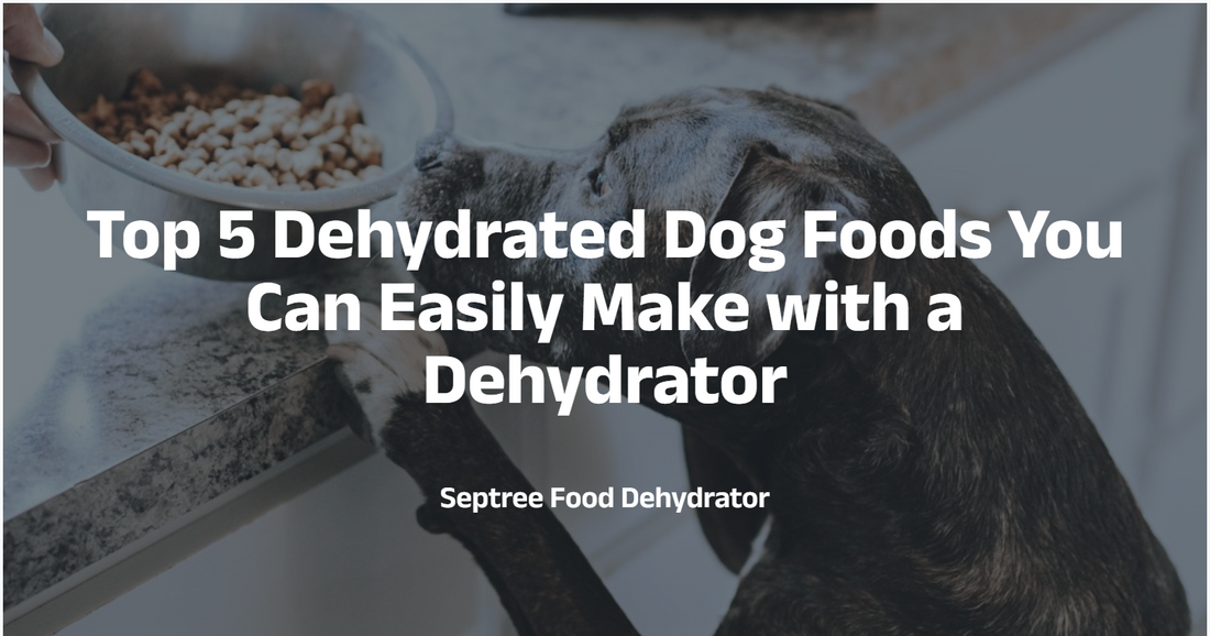 Top 5 Dehydrated Dog Foods You Can Easily Make with a Dehydrator