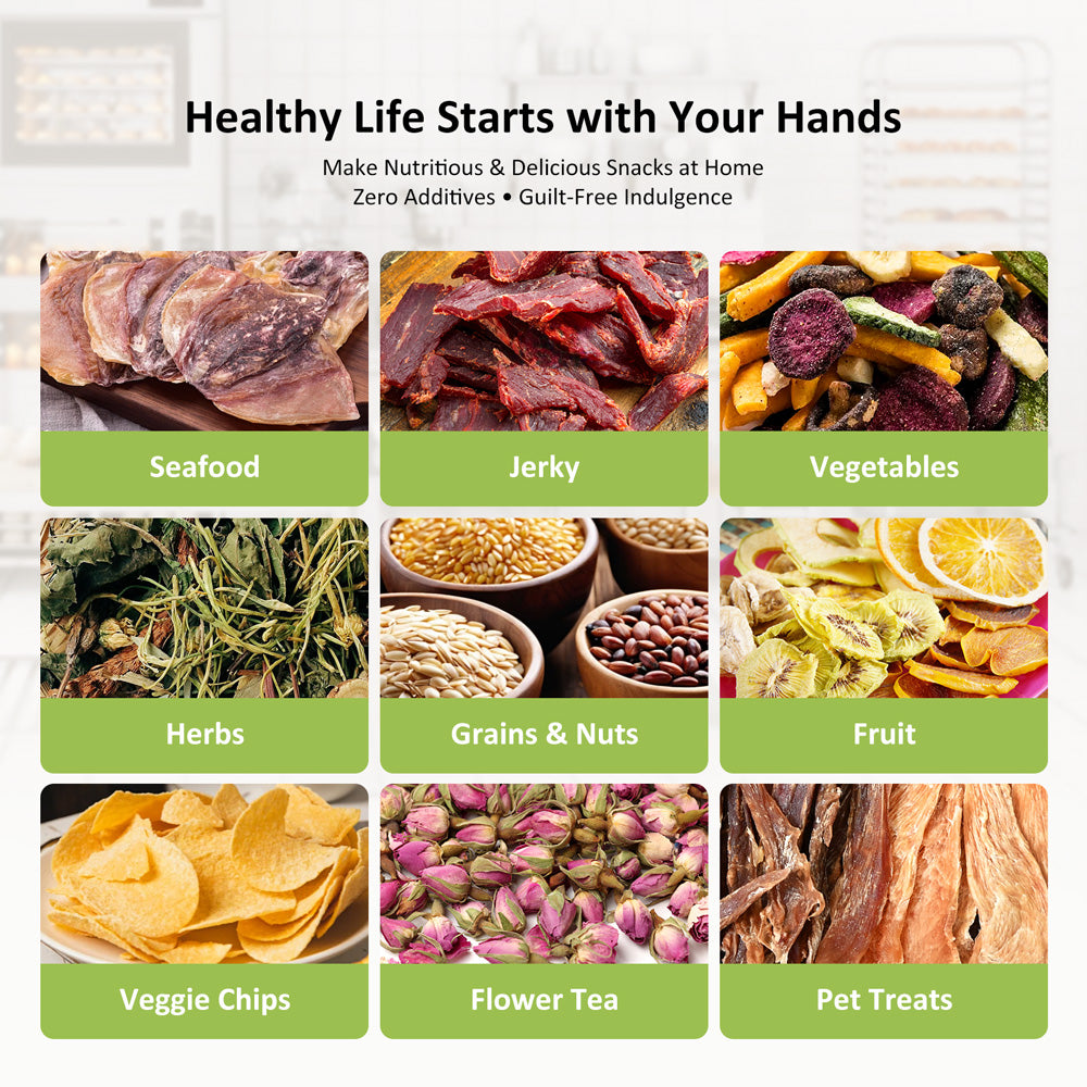 DSC-08B Septree Dryer 8 Trays Food Dehydrator