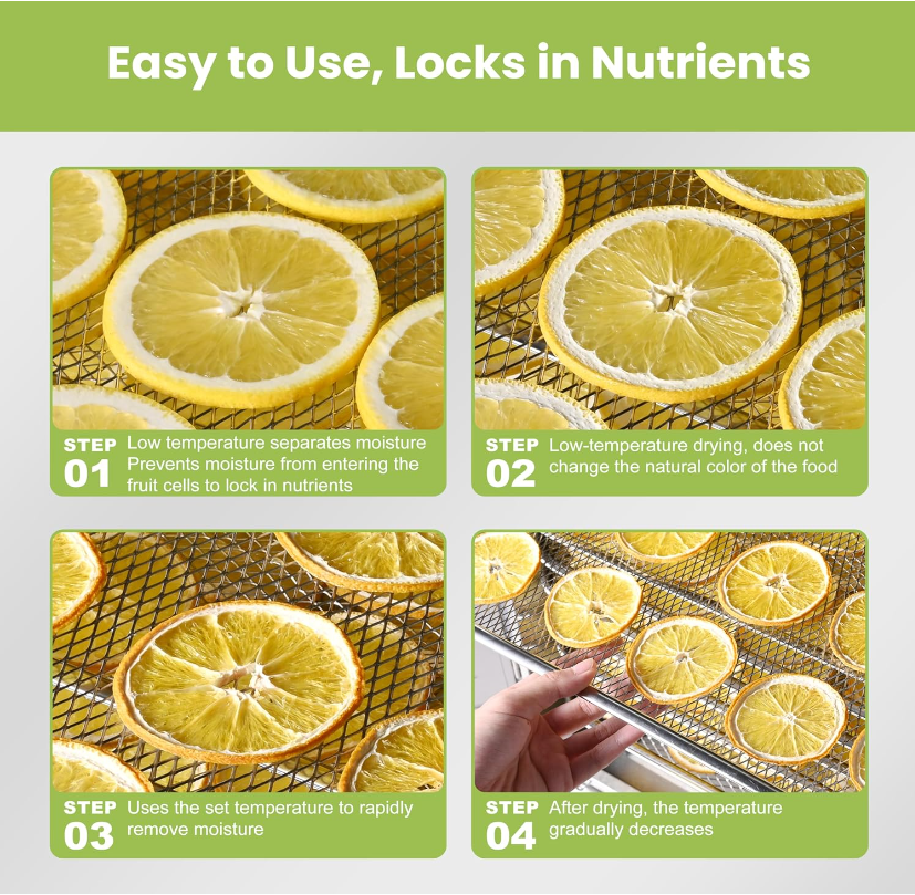 Septree™ 88 Trays Commercial Dehydrator, 7400 Watts - 4 Zone