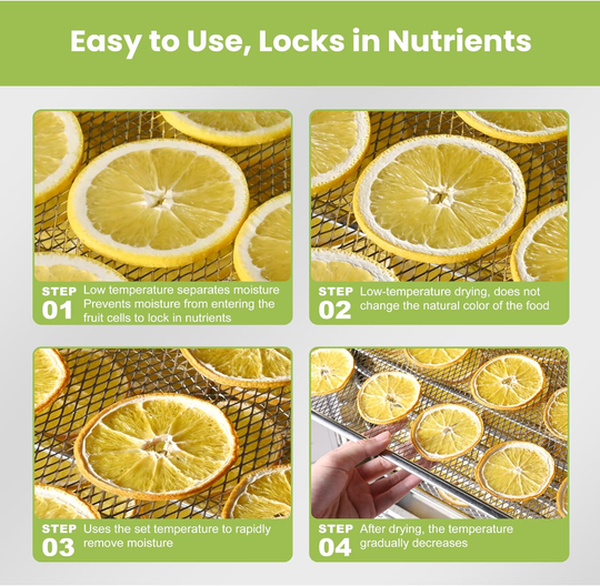 Septree™ 88 Trays Commercial Dehydrator, 7400 Watts - 4 Zone