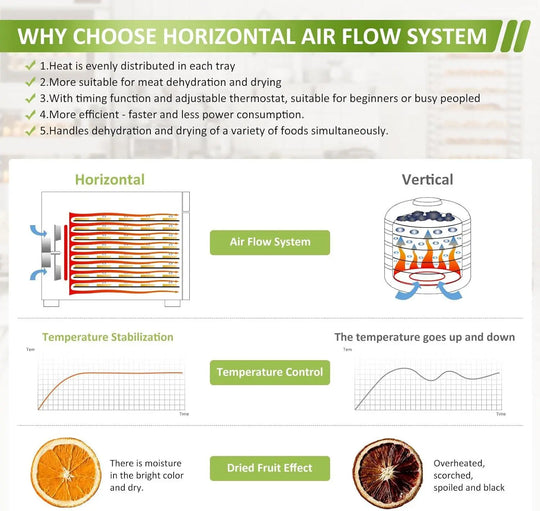 DSC-08B Septree Dryer 8 Trays Food Dehydrator