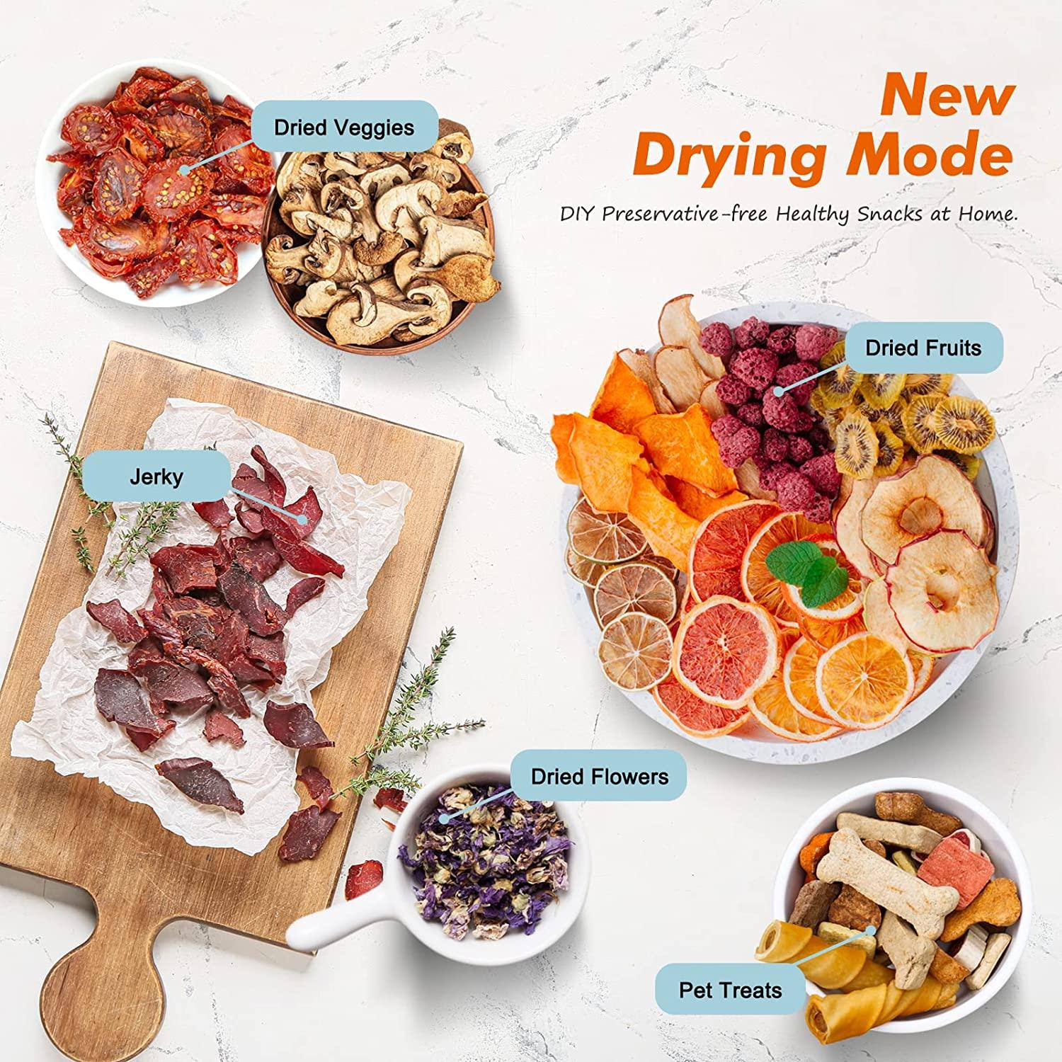 New 10 Layers Food Dehydrator Fruit Drying Machine Vegetable Dryer Fruit  Dryer B