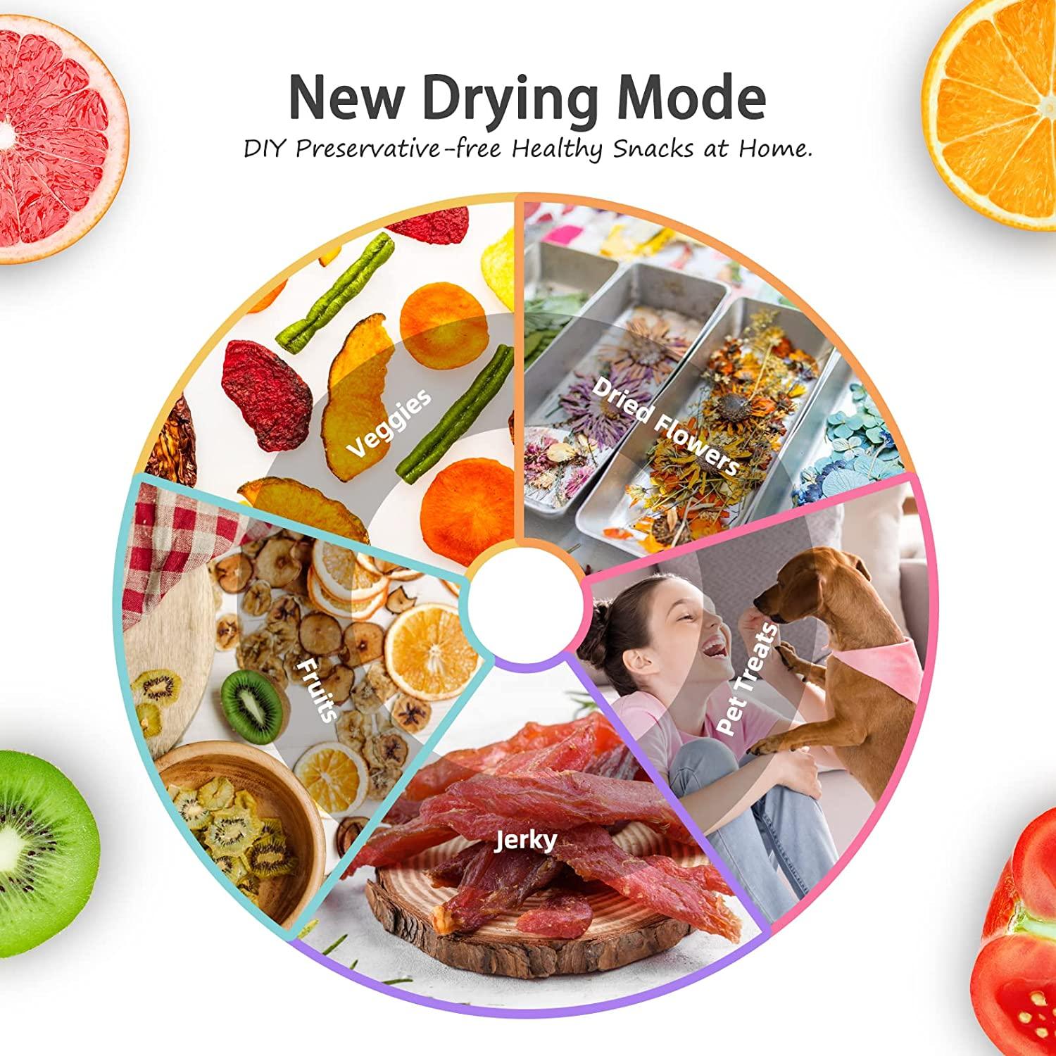 Septree 2023 Upgraded Food Dehydrator for Jerky,Herbs, Meat, Fruit and  Yogurt